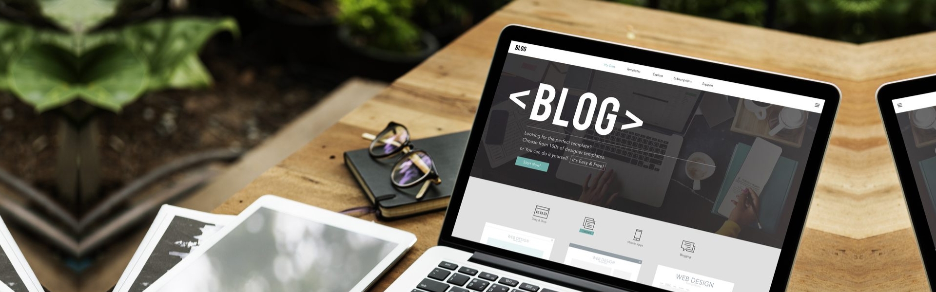 Web Yazılım